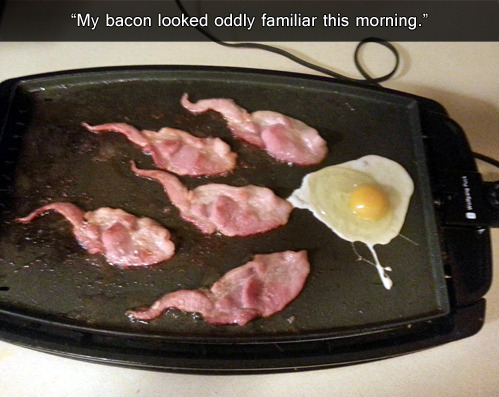 tastefullyoffensive:  Baconception. [via]