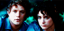 lady-arryn-deactivated20140718:  ✥  3. Three is Company:   “A fox passing through