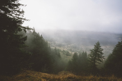 drawmeafteryou: robsesphoto: Missing Oregon part 2… Cant wait for new adventures later this year…www