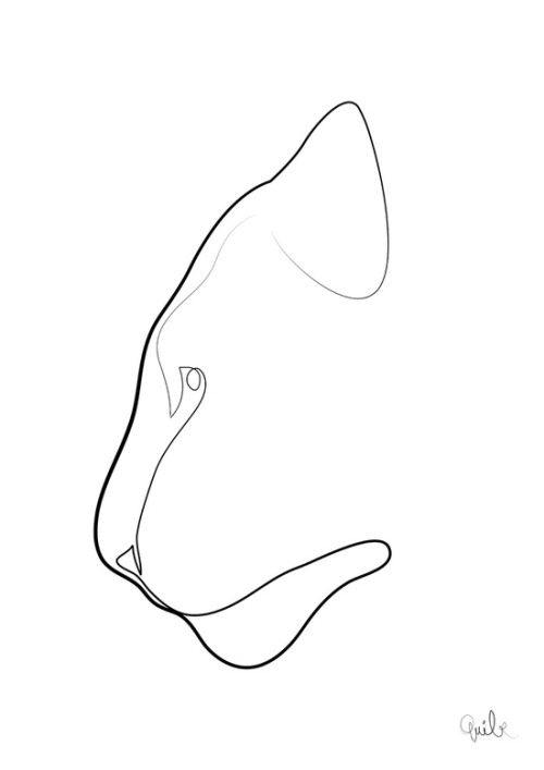 bestof-society6:  ART PRINTS BY QUIBE   Elephant line   Oneline Stag    Oneline Tiger   One line Gorilla    Also available as canvas prints, T-shirts, Phone cases, Throw pillows, Tapestries and More! 