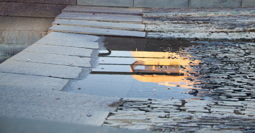Central Garden, 7am