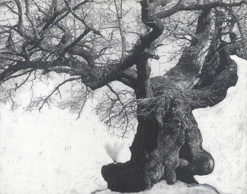 nemophilies: Patrick Van Caeckenbergh, Drawings of old trees on wintry days during 2007-2014