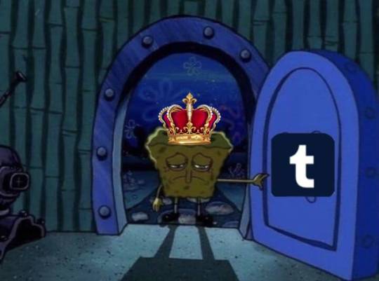 Tumblr media