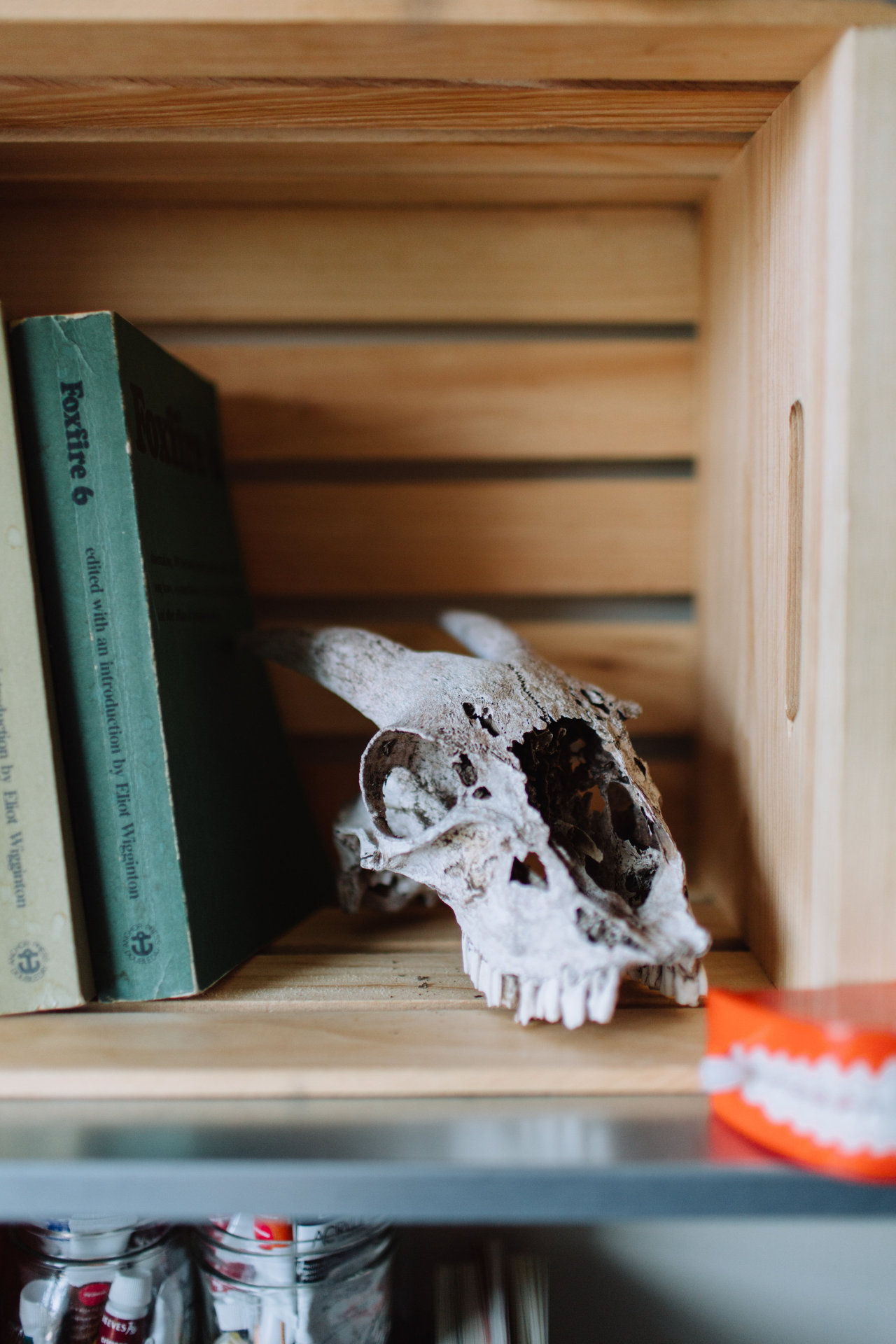joellesoswell:  my home is a shrine, I build it piece by piece. (little ephemera