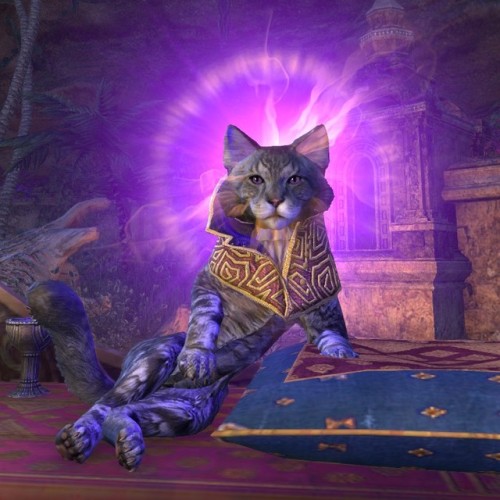 uesp:Unanswered Lore Question: Did Sheogorath magically create the collar he wears in his cat form, 