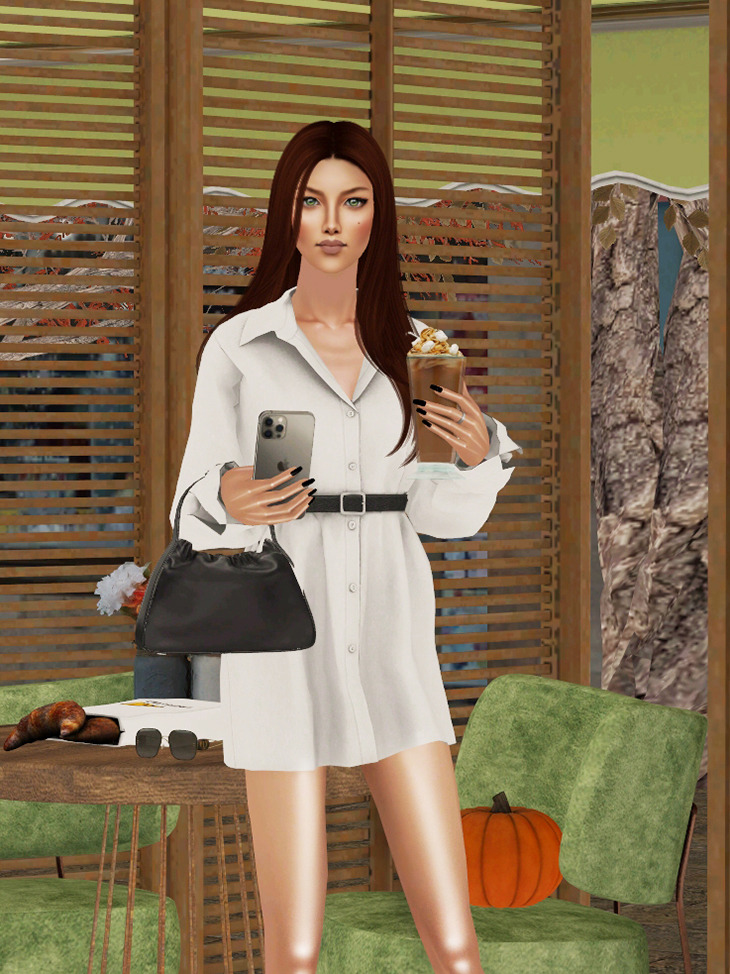 Nika Onishko Belted Shirtdress Iv To Ts2 Original