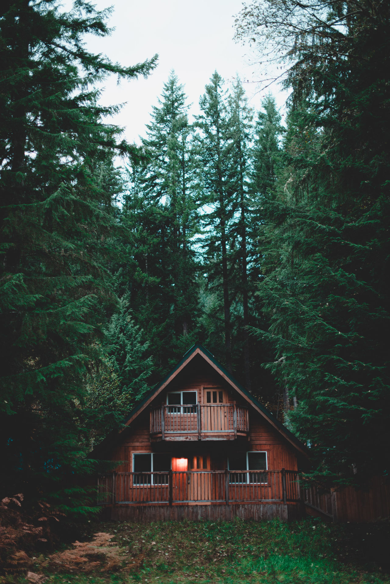 eartheld:  mostly nature