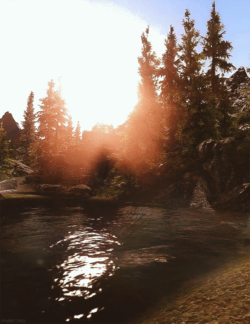Half Sunshine, Half Grave
