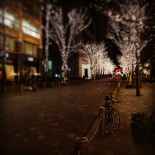 ane-mone-8: #nightview #lights #landscape #japan #bicycle #tokyo