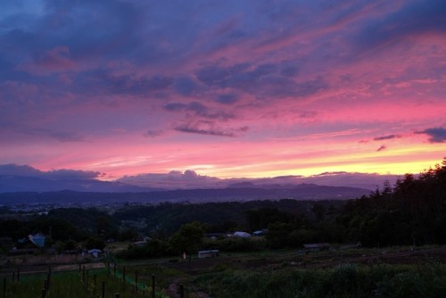 2017.05.25御牧ヶ原の夕焼け