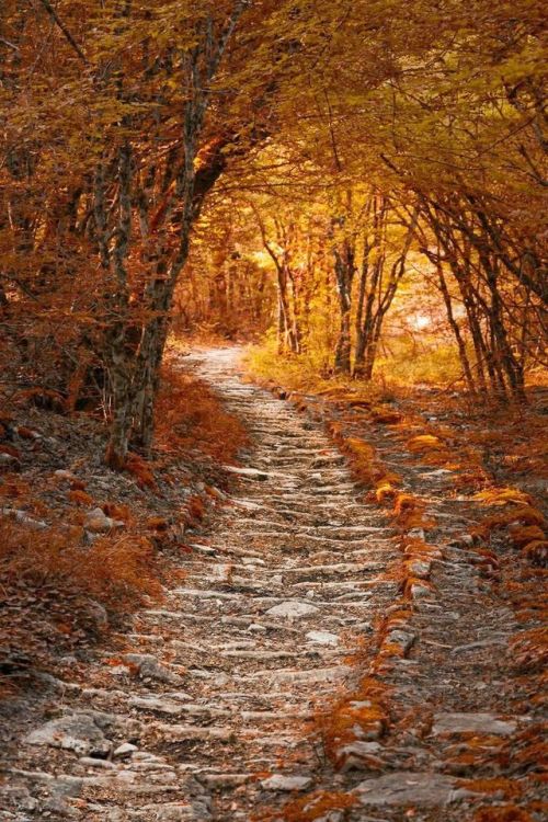 Autumn Path in Greece (by Kate Eleanor Rassia)