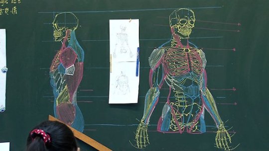 Cuando tu Profesor de Anatomía debería haber sido dibujante profesional