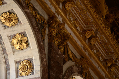 qusarts: Details of Versailles - Interiors