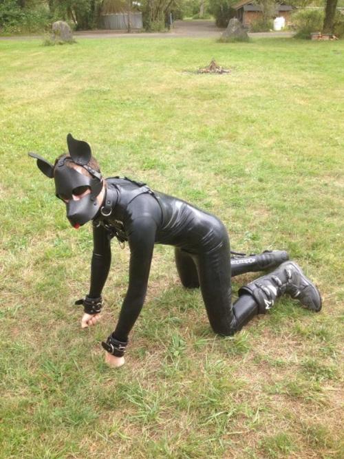 Porn divepup:  Was a dawg out playing in the woods photos