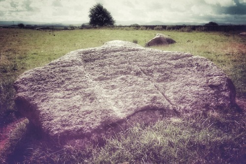 Gamelands Stone Circle, Cumbria, 11.8.18.A sizeable recumbent circle on the edge of farmed land with