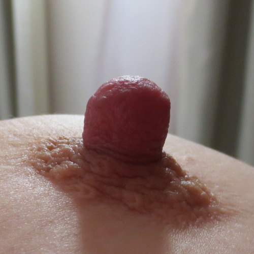 largenipplesandtits:    Large Nipples & Tits   http://largenipplesandtits.tumblr.com/0283like it | reblog it