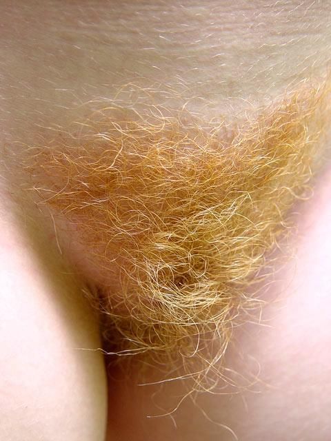 red-head-nsfw: For more sexy red head babes click here!