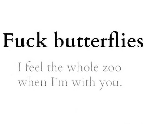 silly-luv:  ♡ find your best posts on my blog ♡