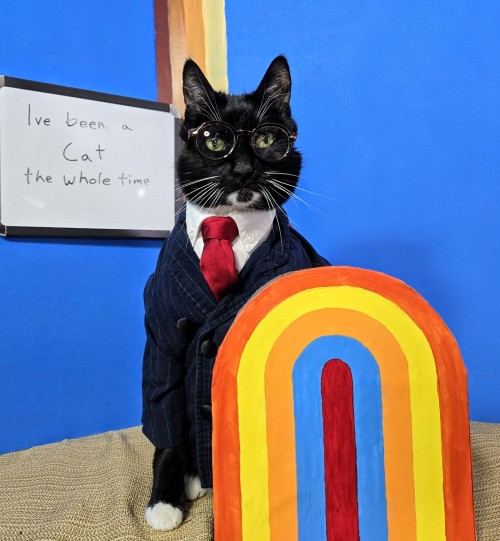 This Caturday... Get Ready For A Game Changer!