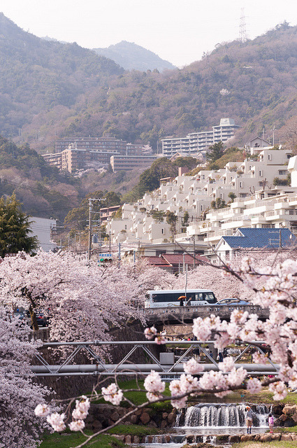 芦屋の桜景色 by GENuine1986 on Flickr.