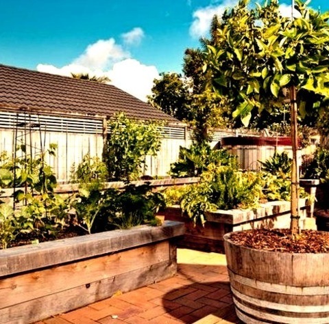 Auckland Landscape Vertical Garden