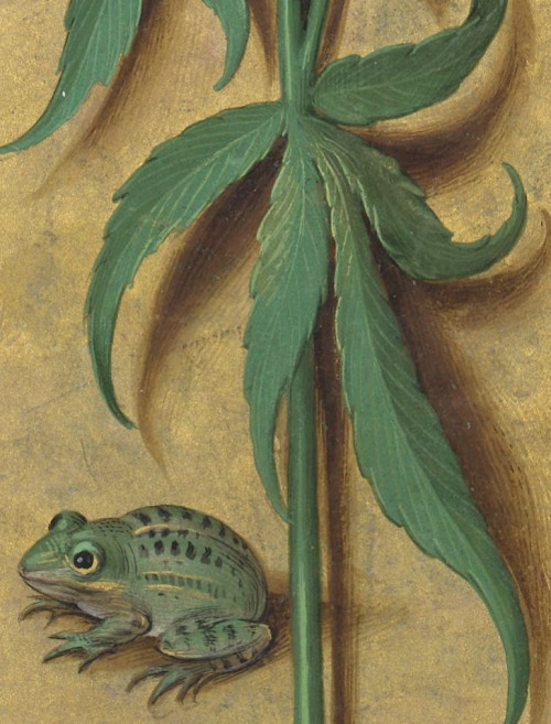 clawmarks: Detail from the Horae ad usum Romanum (dites Grandes Heures d'Anne de Bretagne) - c. 1505