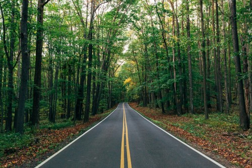 Country Roads, Take Me Home Raven Rock Trailhead, Coopers Rock, West Virginia