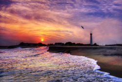 landscapelifescape:  Cape May Lighthouse