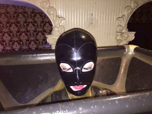 rumi-rubber: I went to Department H at last weekend.