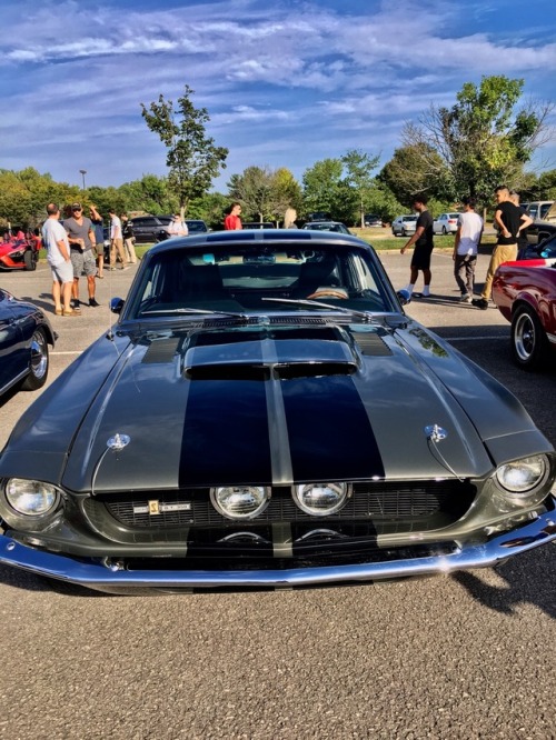 1967 Shelby Mustang GT350 cloaked in “Silver Frost” factory paint. This girl has a 306 horsepower sm