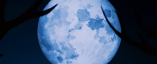 yyh:BEASTARS OP » Wild Side by ALI