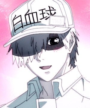 U 1146 U 1146番 Hataraku Saibou S2 Episode 1 Tumbex