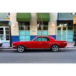 luiscorrales:  #mustang #car #auto #red