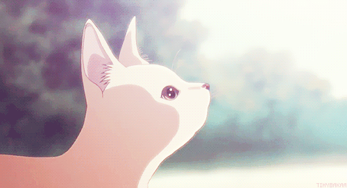 kellchy:  <3 on We Heart It - http://weheartit.com/entry/100744077