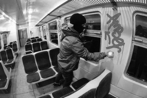 ✖TEENAGE VANDALS✖