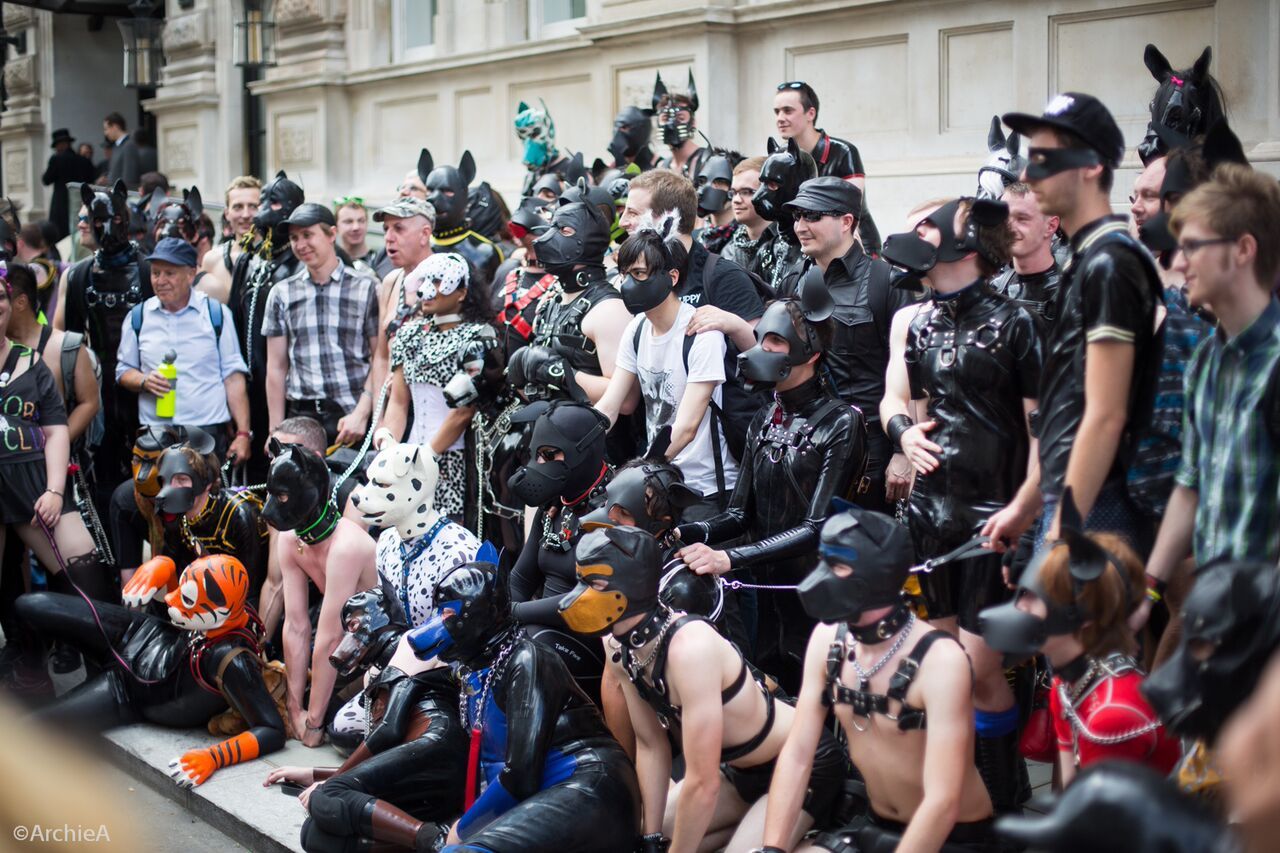puppiesonladders:  Pups at London Pride 2015. photos by Archimedes Alpha (x2), Charles