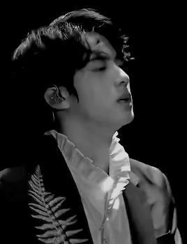 Vampire Seokjin Enthusiasts Rise