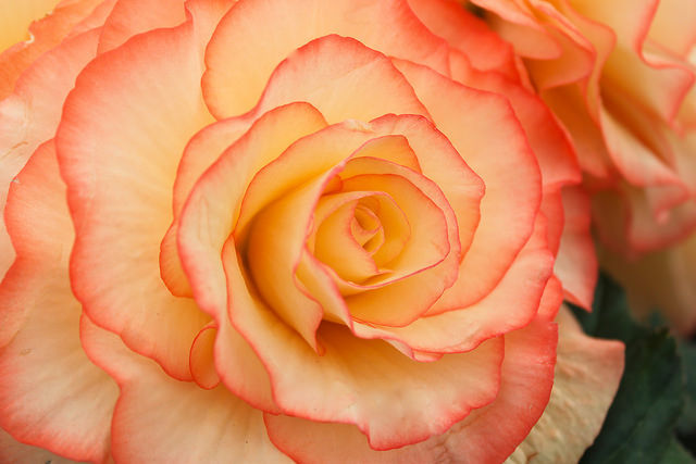 sapphire1707:  Unbelievable Colour by Photography Lately on Flickr.  Beautiful