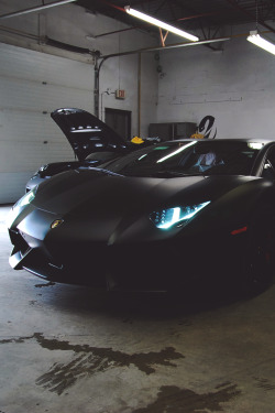 artoftheautomobile:  Lamborghini Aventadorvia Sekanskin