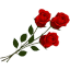 jouesrose