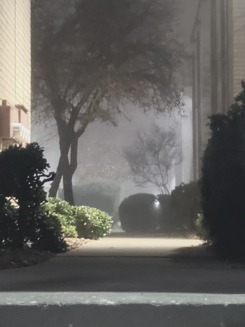 The Fog Comes At Unexpected Times