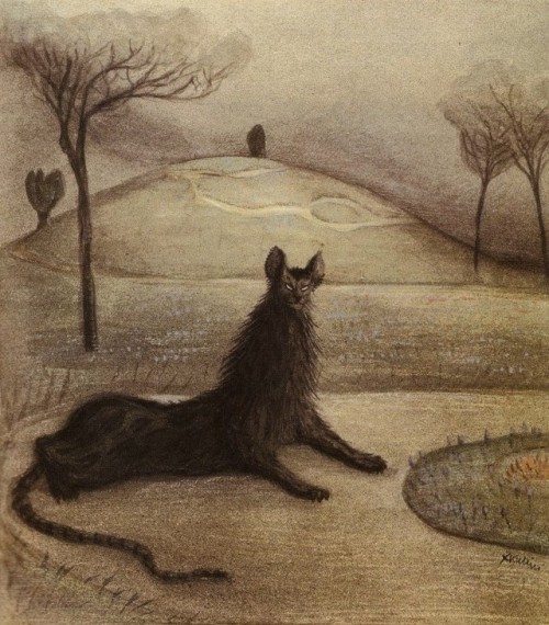 enchantedbook:Dream Animal - Alfred Kubin, 1903