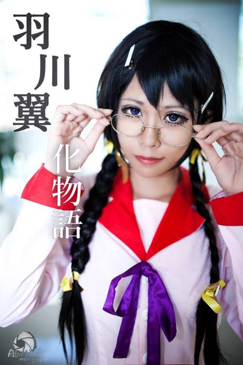 BAKEMONOGATARI Tsubasa Hanekawa | CN Popy country: Vietnam FB: www.facebook.com/haha.1309twitter: tw