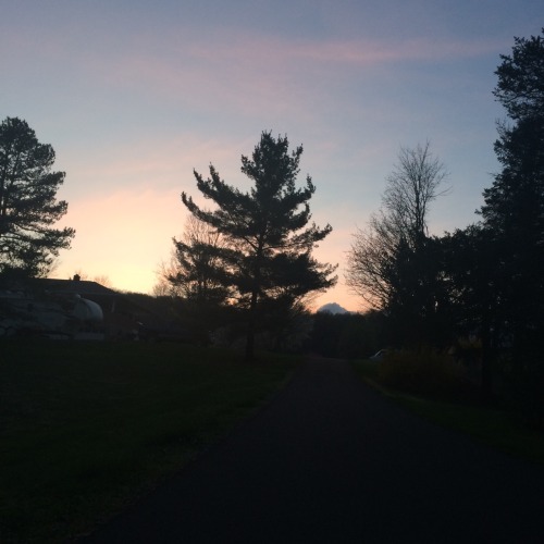 earthfaei:  me n bff went for a walk n sat in the middle of the road and it was a fun time☁️🌻 ig: earthkiddo