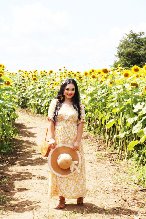  Golden Sunflower Fields ➵ on LienJae.Com. 