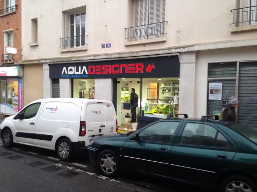 simonsaquascapeblog: Shop: Aquadesigner, ParisA marvellous shop with marvellous owners in the center