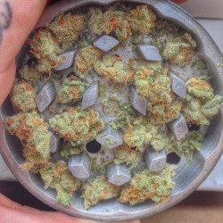 marihuanalegal:  shesmokesjoints:  Just a bit of Chernobyl in my grinder :)http://ift.tt/1nkIUqh
