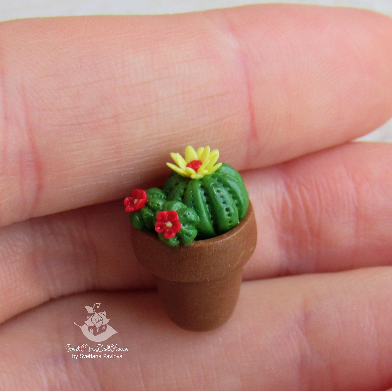 sosuperawesome:  Miniature Food and Succulents by Svetlana Pavlova on EtsySee our