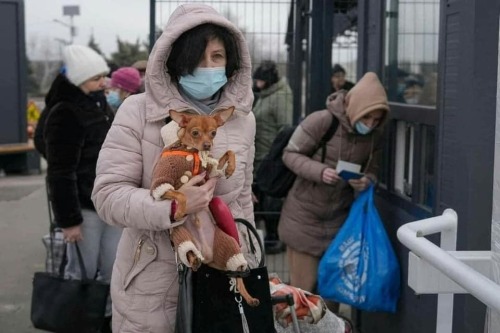 catsbeaversandducks: Ukrainians fleeing with their pets. They don’t leave them behind. I can’t imagi