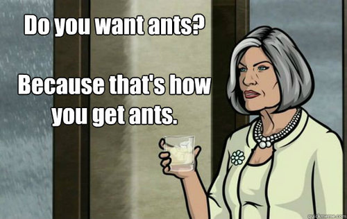 thebloggerbloggerfun:  bisexualbombshell:Tip for valentine’s day: DON’T PUT ANYTHING WITH SUGAR IN YOUR VAGINA